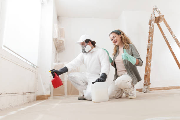 Best Mold Prevention Services  in Haysville, KS